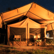 Night-camp-in-Serengeti-National-Park