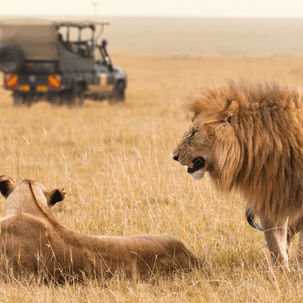 Off-road-Tanzania-safari.