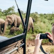 tourist taking photo in Selous game drive