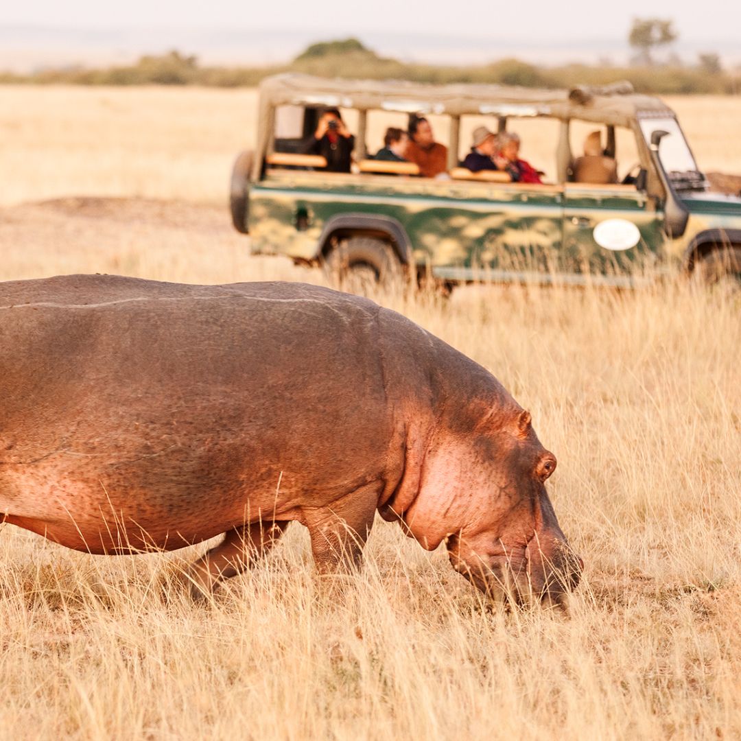 Kenya Luxury Safari