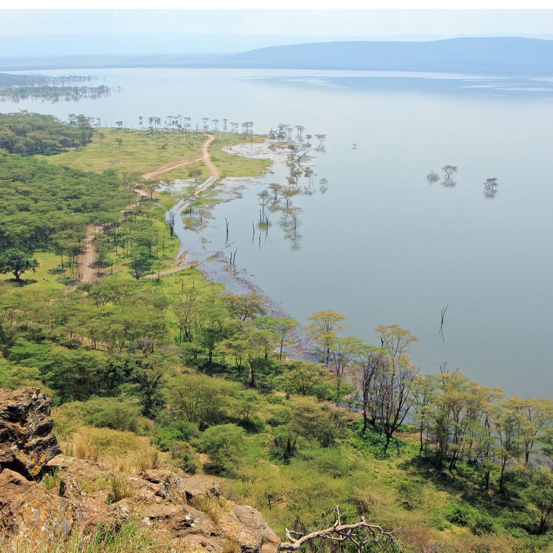 Lake Nakuru - Kenya