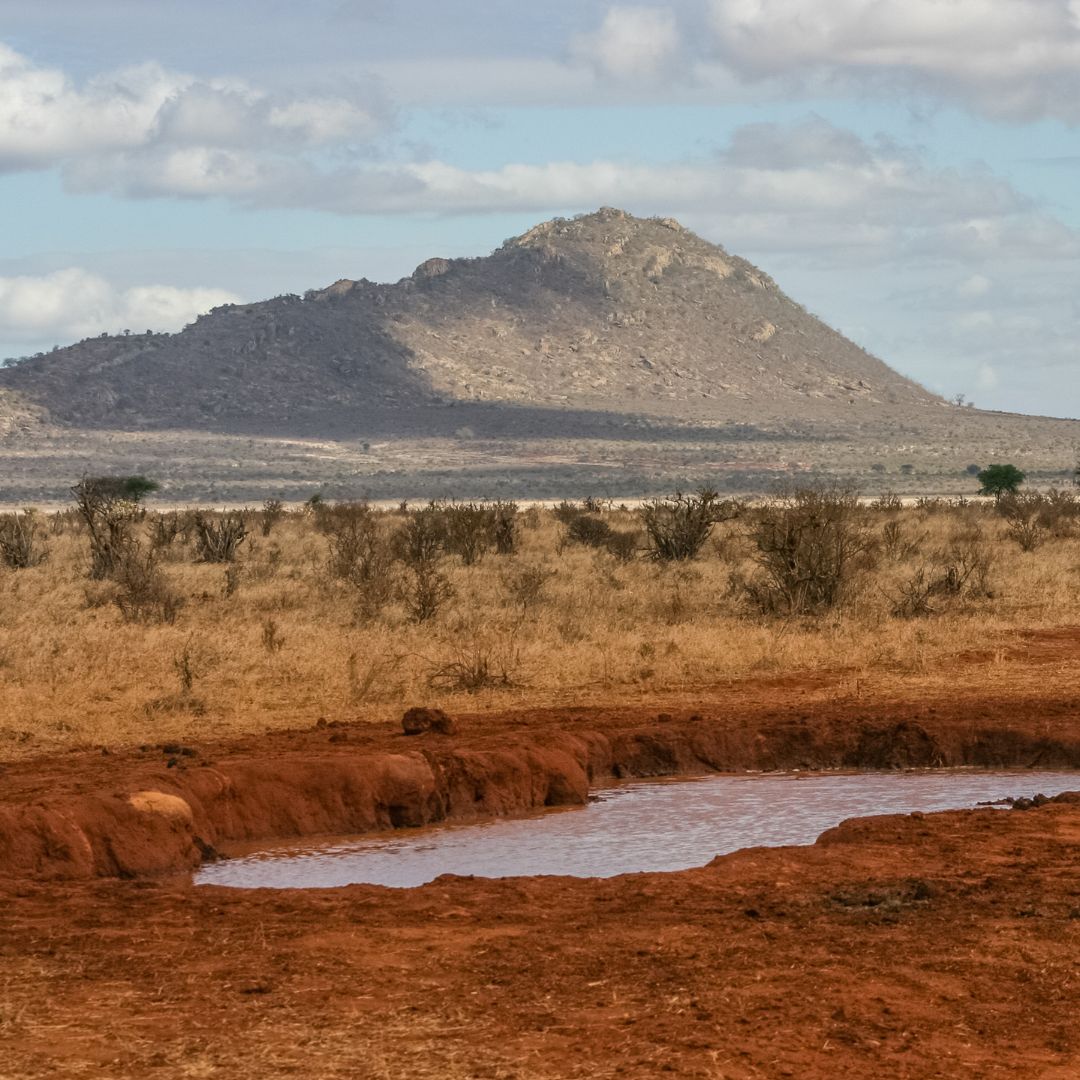 Tsavo National park