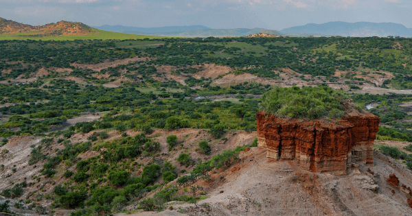 Olduvai gorge
