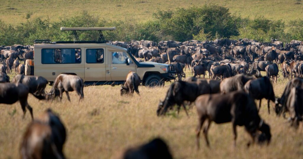 Serengeti migration safari