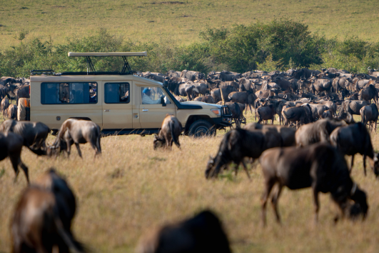 6 Days Serengeti Fly-In Migration Safari