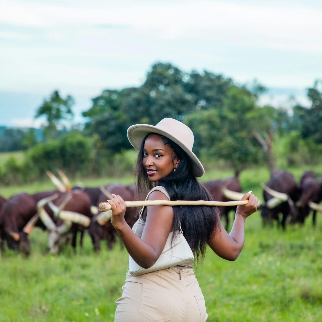 Best of Uganda safari