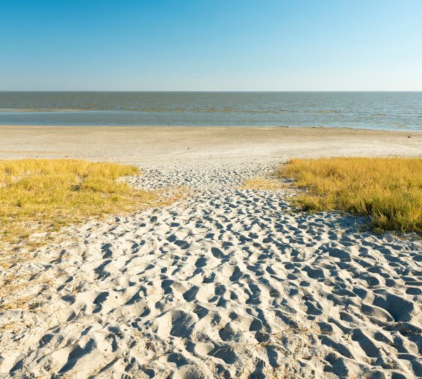Makgadikgadi Pan Botswana