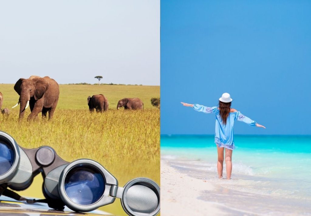Zanzibar and safaris
