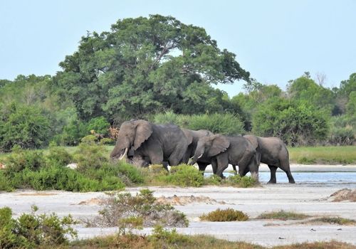 saadani national park