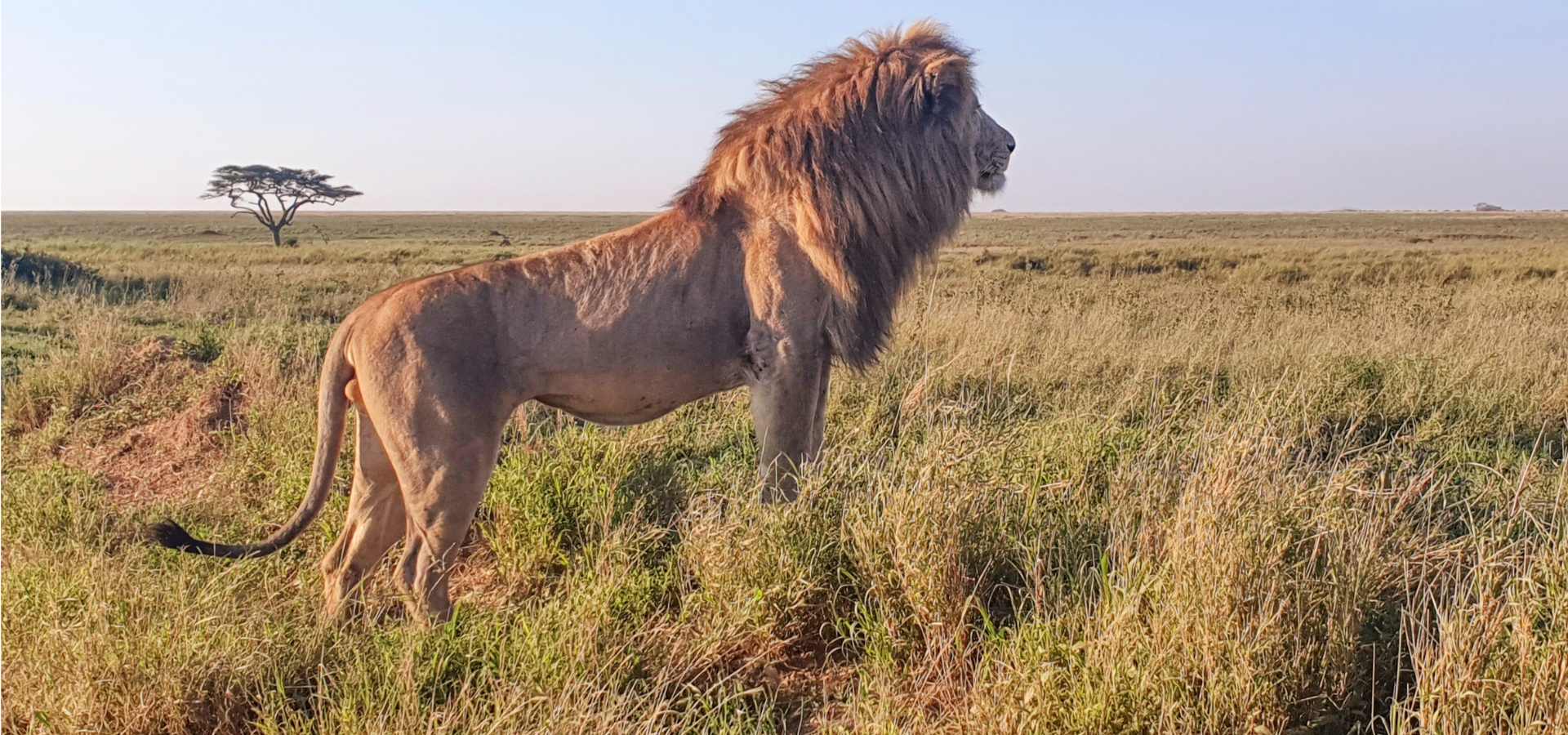 Tanzania safari packages from the UK