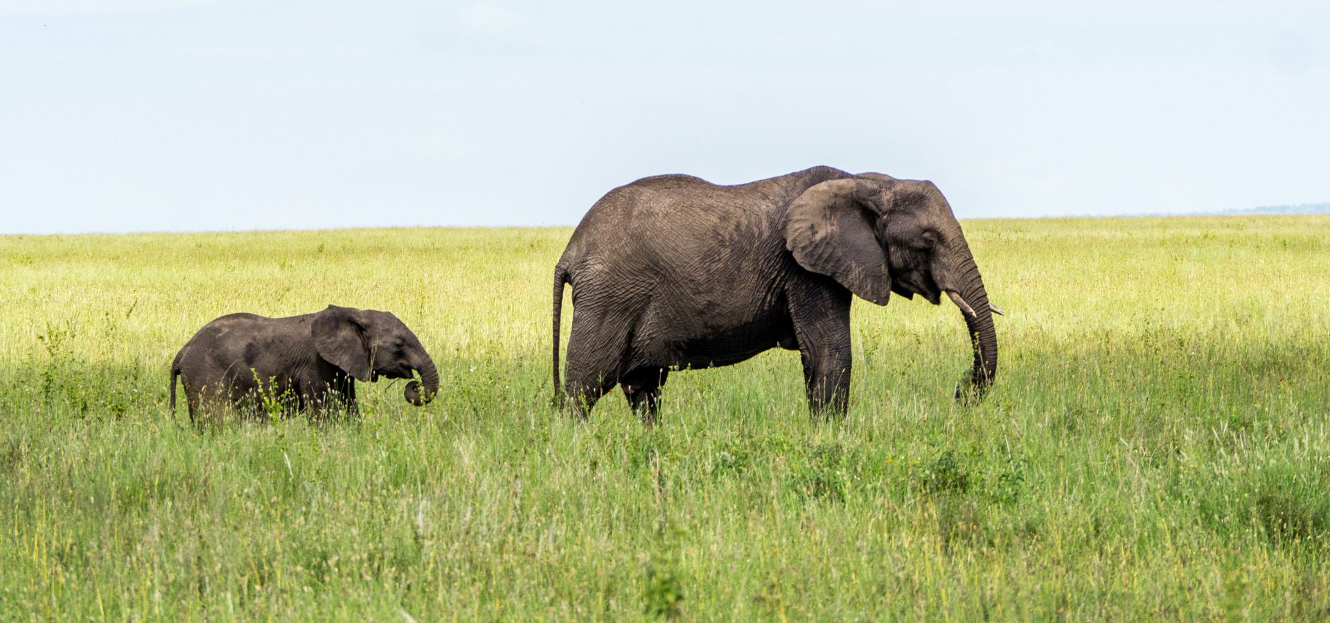 7-Day Big Five Safari