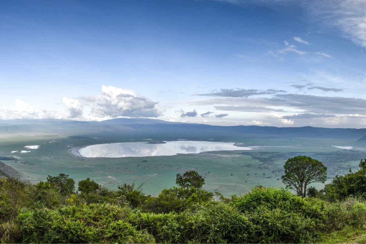 Why Tanzania safari is worth it