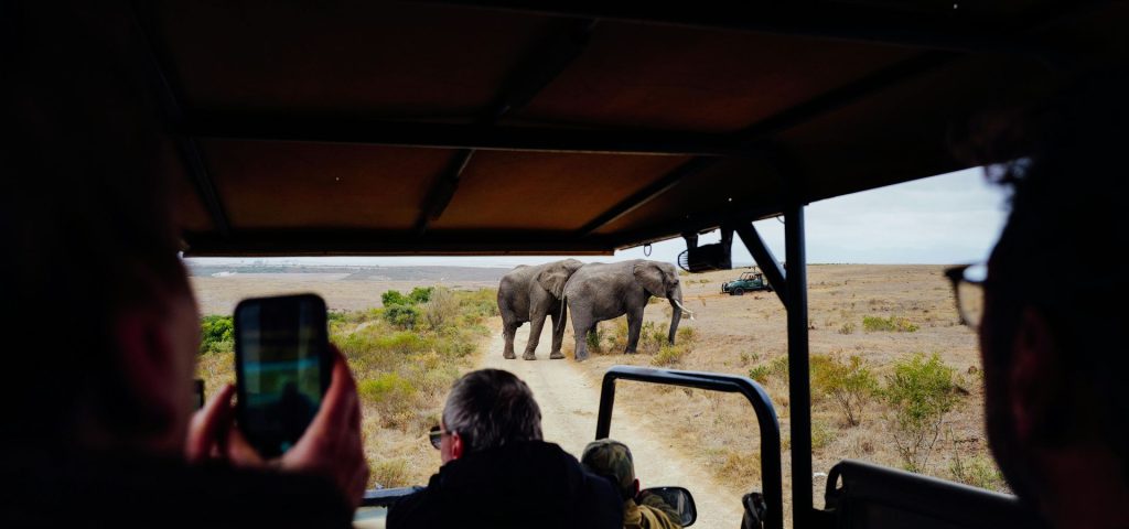 12-Day Kilimanjaro Climb and Safari