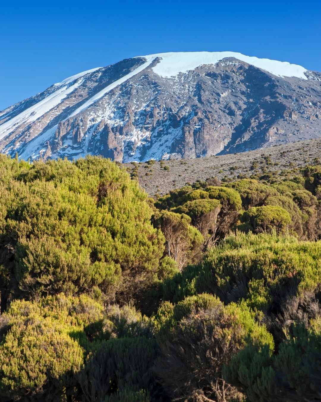 Mount Kilimanjaro