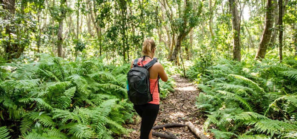 Zanzibar Tour Jozani