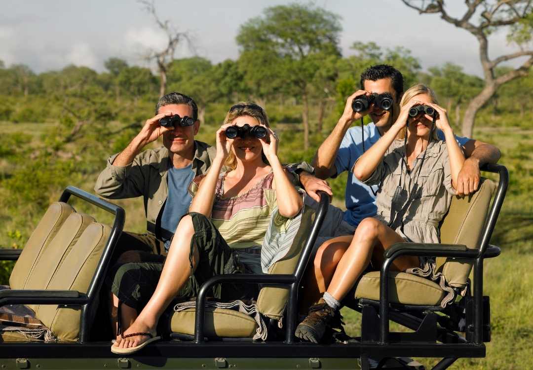 Tourists using binoculars in safari vehicle