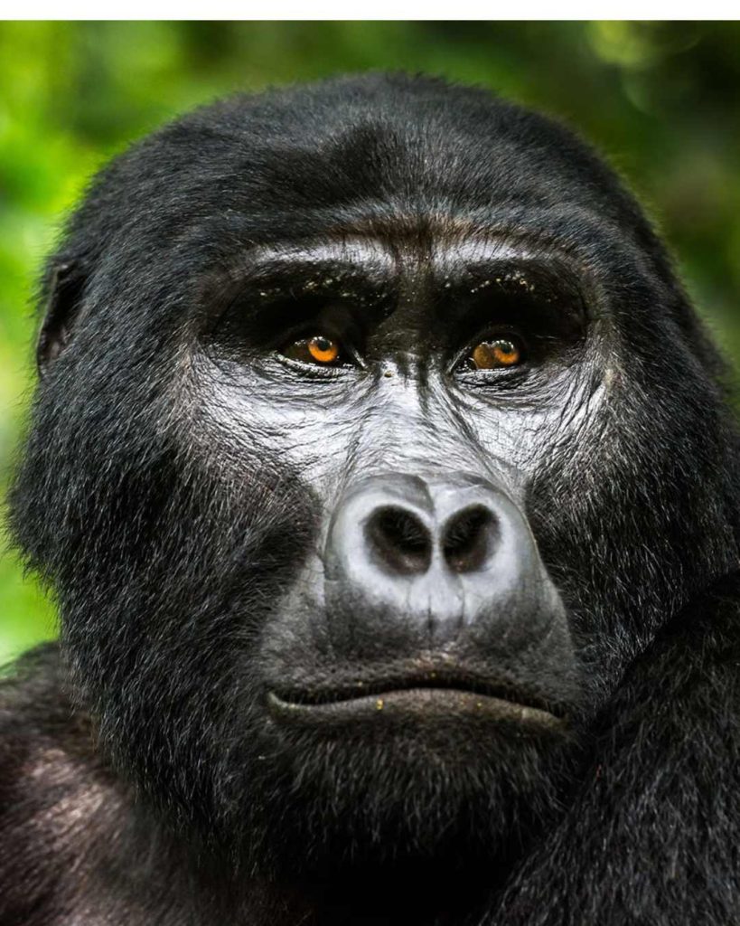 Explore Uganda