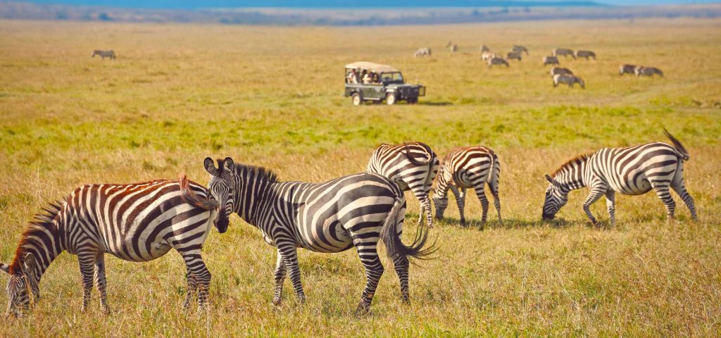 3-Day Amboseli & Tsavo West Safari