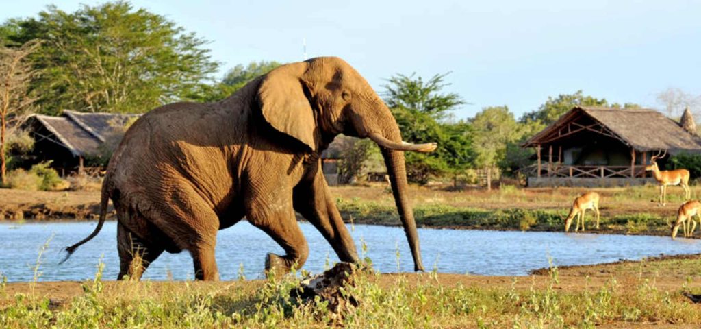 3-Day Tsavo East Safari