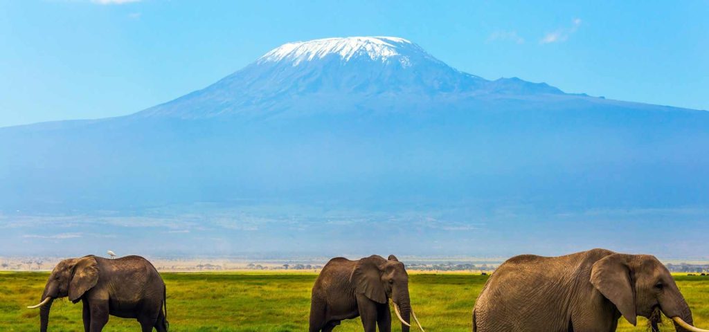 9 Days Mount Kilimanjaro Climb Northern Circuit Route