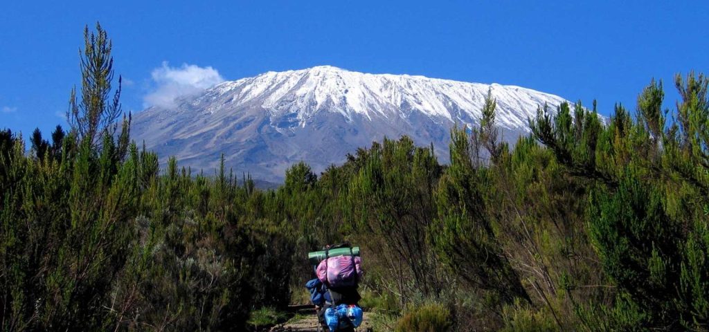 7 Days Mount Kilimanjaro Climb Rongai Route