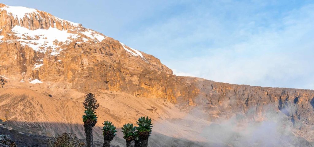 8 Days Mount Kilimanjaro Climb Lemosho Route