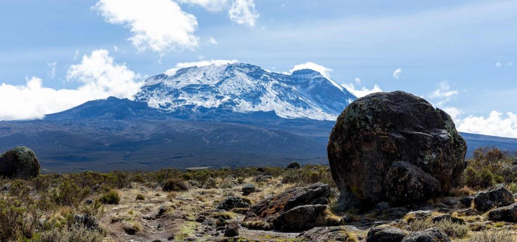 8 Days Mount Kilimanjaro Climb Northern Circuit Route