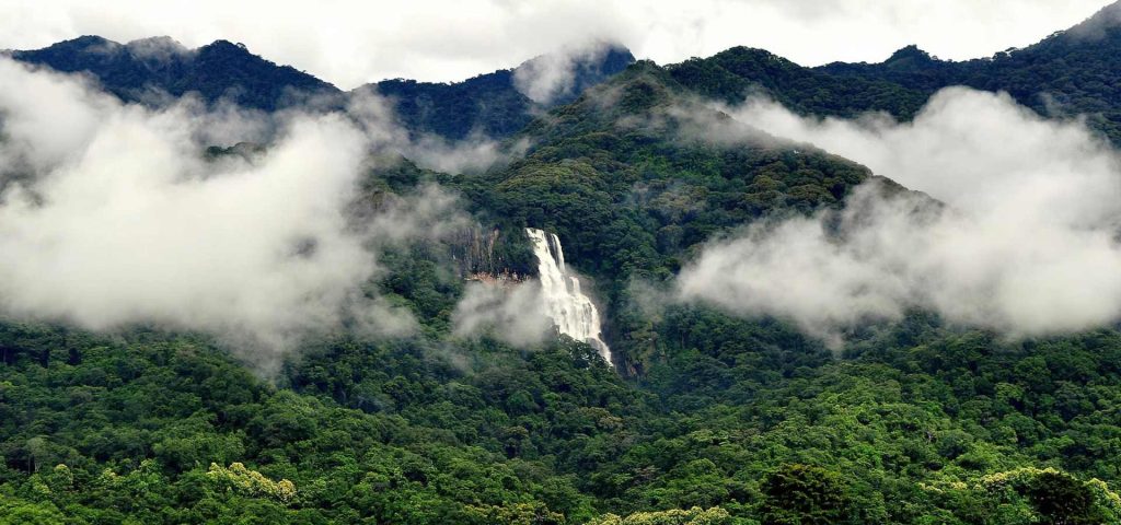 Udzungwa Mountains National Park-3 Days/2 Nights