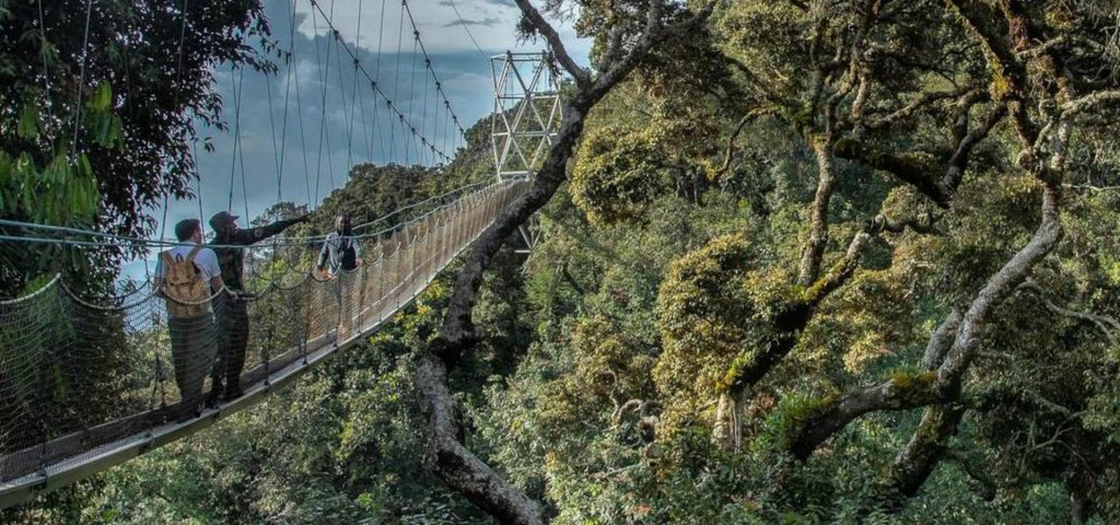 11 Days Rwanda Adventure Tour