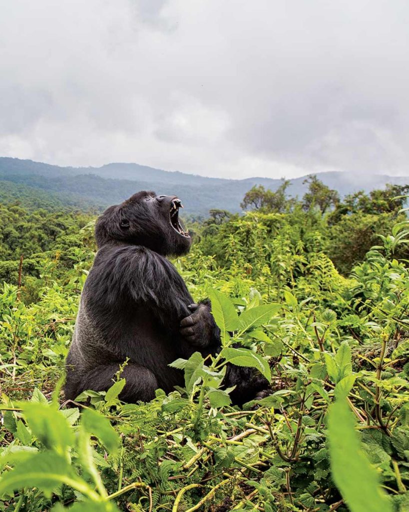Visit Rwanda