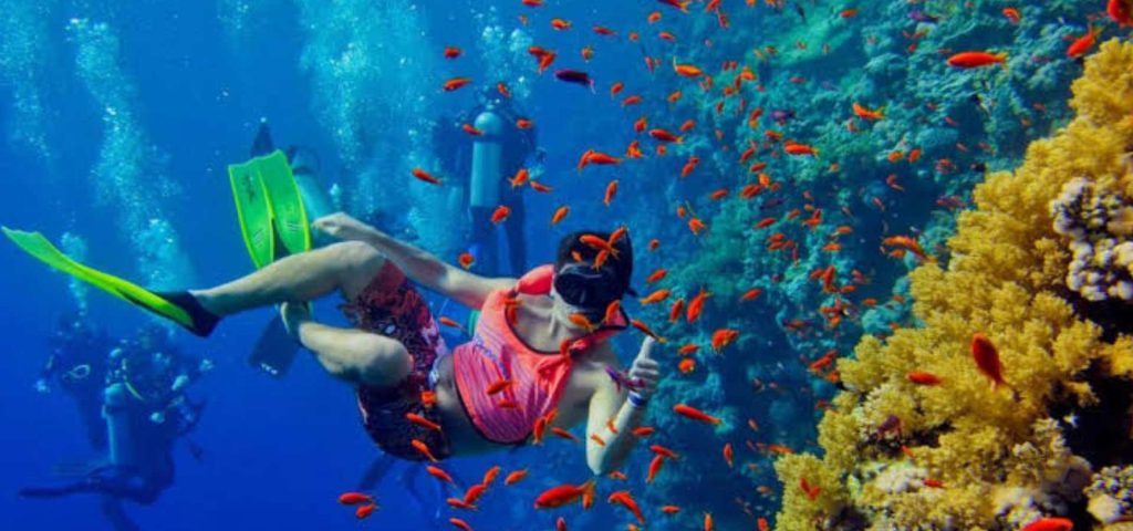 6 Days Zanzibar Excursions
