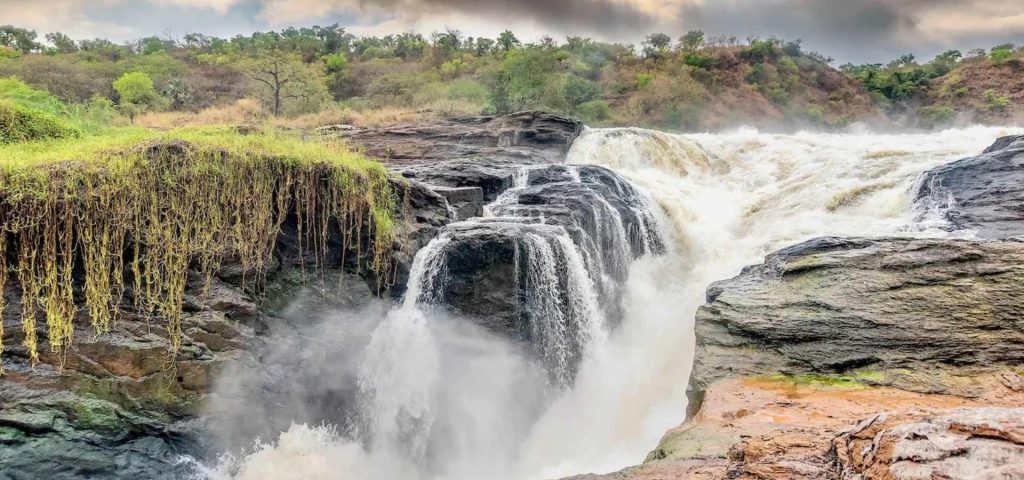 5 Days Safari to Murchison Falls & Kibale Forest National Parks