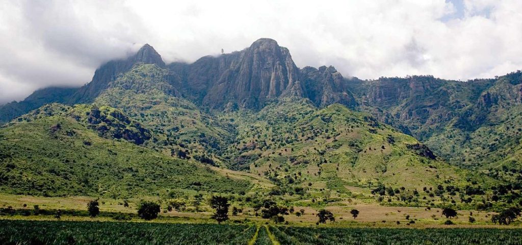 Usambara Mountains Lushoto 4 Days/3 Nights